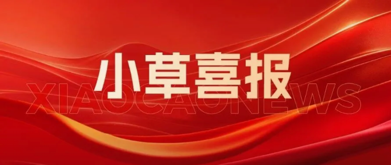 西安四叶草信息技术有限公司党支部获评西安高新区先进基层党组织